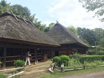 🏛️ 일본 민가 집락 박물관 (니혼민카슈라쿠하쿠부츠칸) 이미지 2